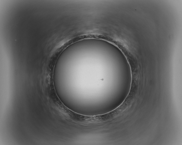 X0000111781159200907231117