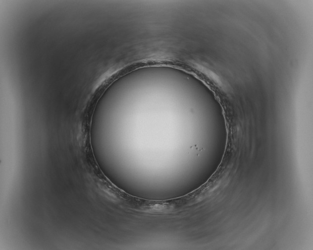 X0000111781160200907231117