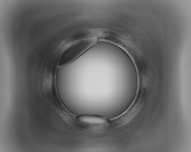 X0000111781161200907231117