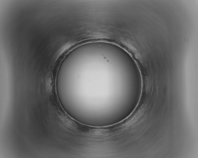 X0000111781163200907231117