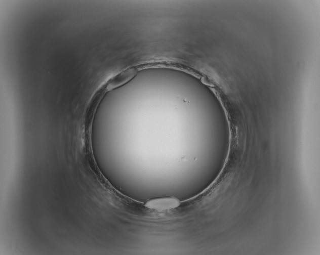 X0000111781165200907231117
