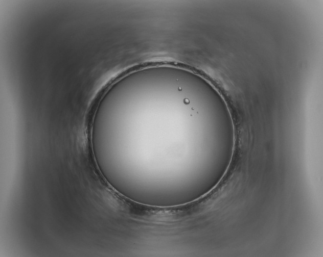 X0000111781167200907231117