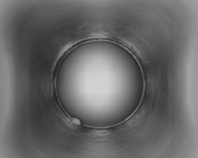 X0000111781168200907231117