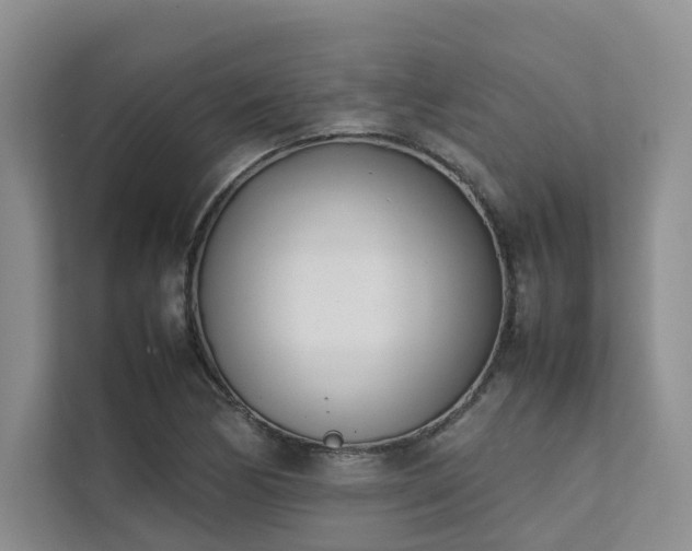 X0000111781170200907231117