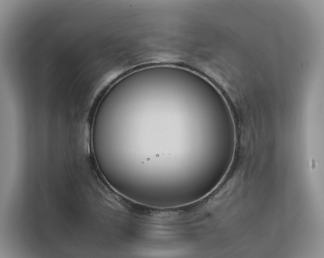 X0000111781171200907231117