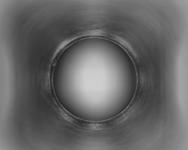 X0000111781176200907231117