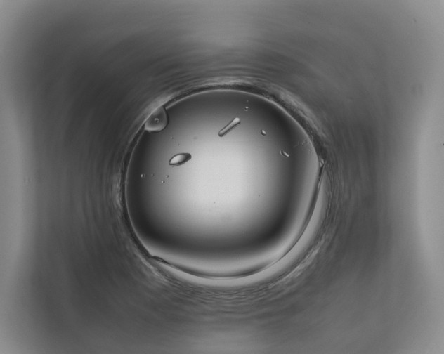 X0000111781177200907231116