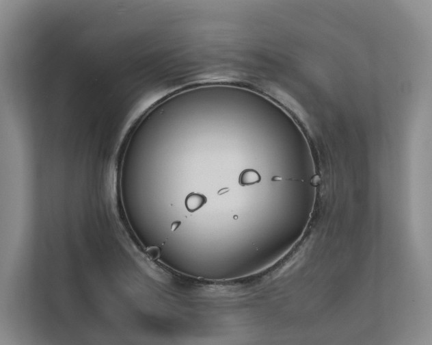 X0000111781179200907231116
