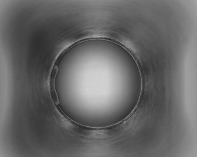 X0000111781181200907231116