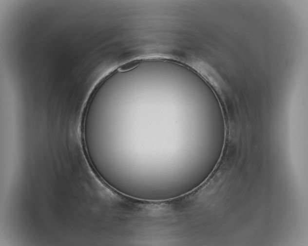X0000111781189200907231116