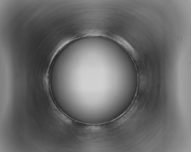 X0000111781190200907231116