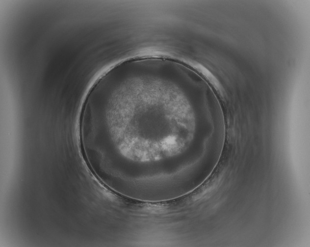 X0000111781191200907231116