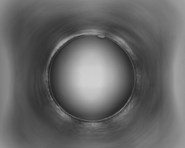 X0000111781192200907231116