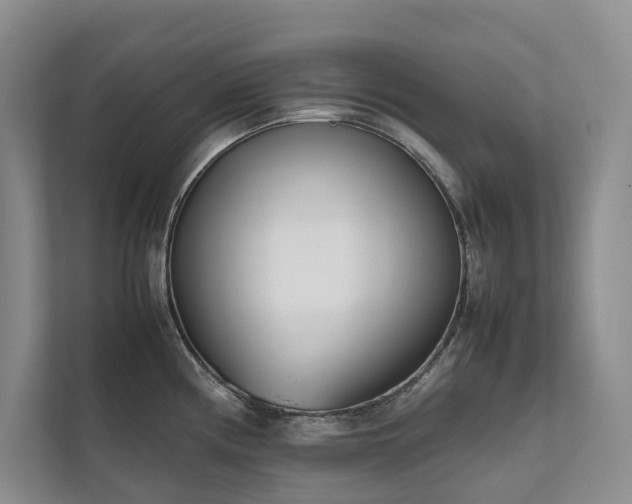 X0000111781194200907231116