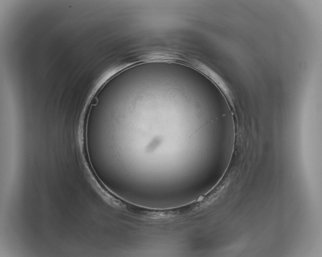 X0000111781195200907231116
