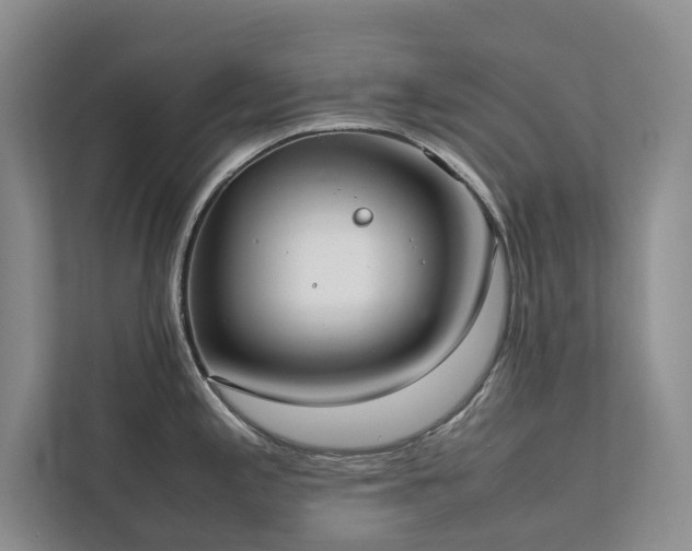 X0000111781197200907231116