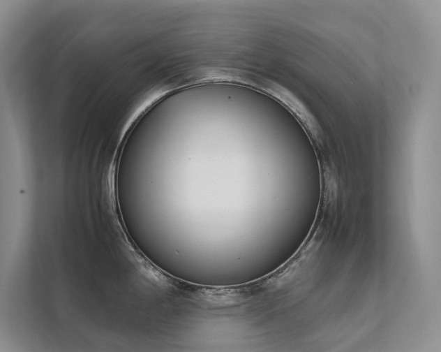 X0000111781198200907231116
