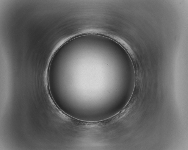 X0000111781199200907231116