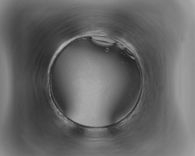 X0000111781200200907231116