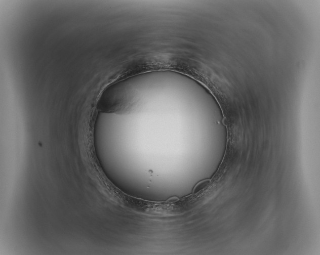 X0000111781201200907231116