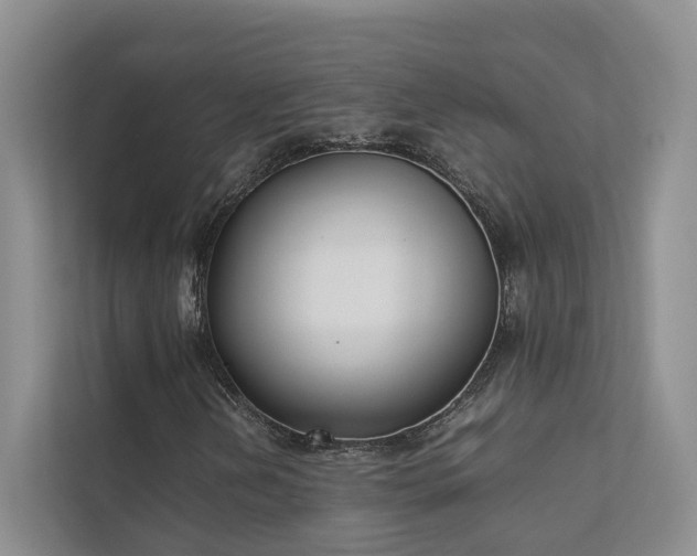 X0000111781202200907231116