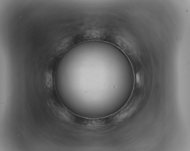 X0000111781203200907231116