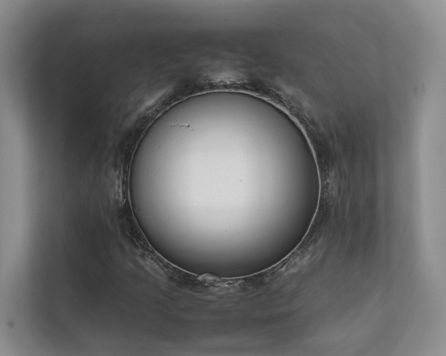 X0000111781205200907231116