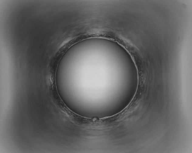 X0000111781206200907231116