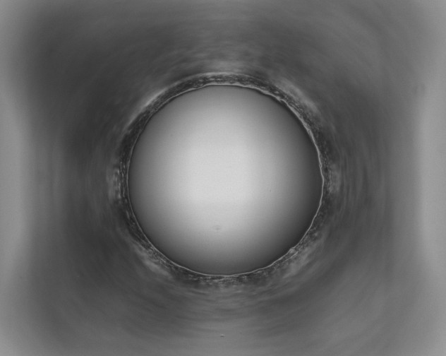X0000111781208200907231116