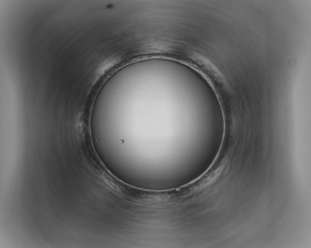 X0000111781210200907231116