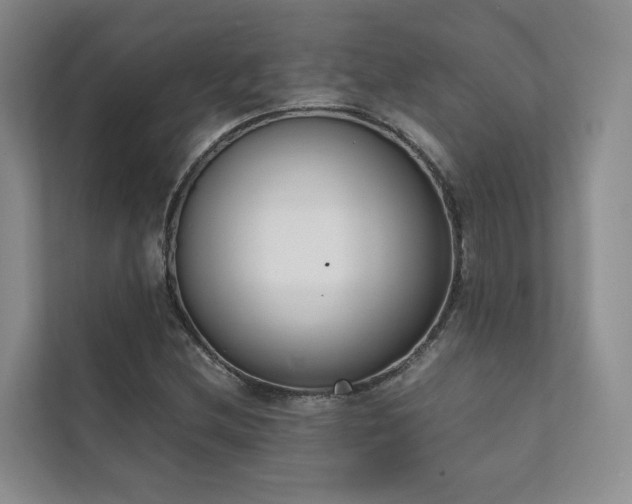 X0000111781212200907231116