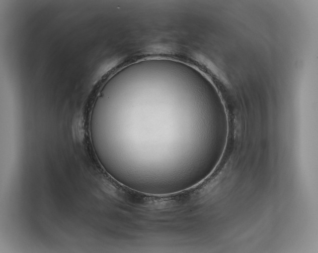 X0000111781213200907231116