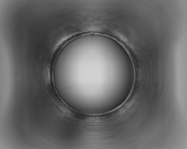 X0000111781214200907231116