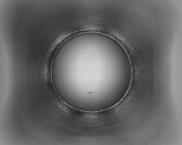 X0000111781215200907231116