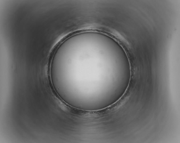 X0000111781216200907231116