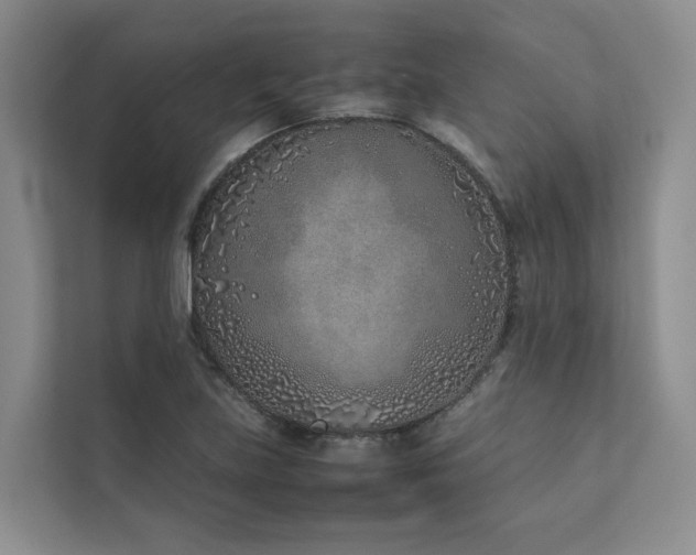 X0000111781219200907231116