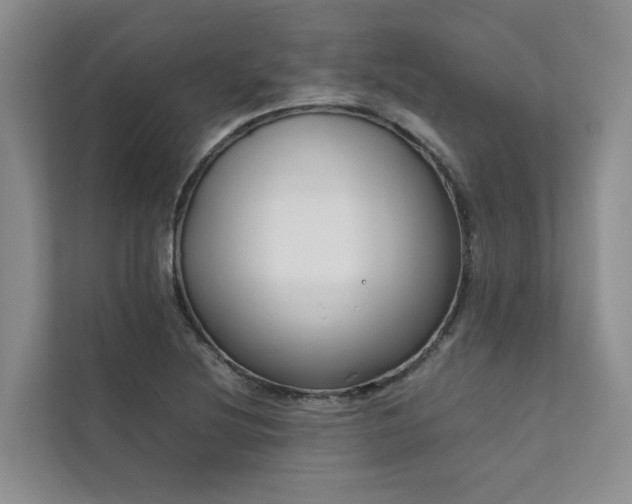 X0000111781220200907231116