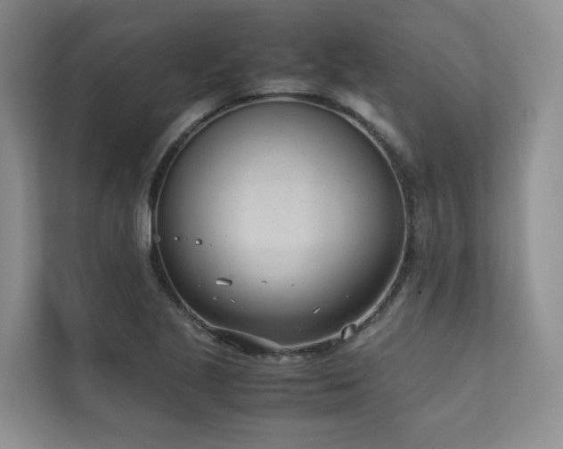 X0000111781221200907231116