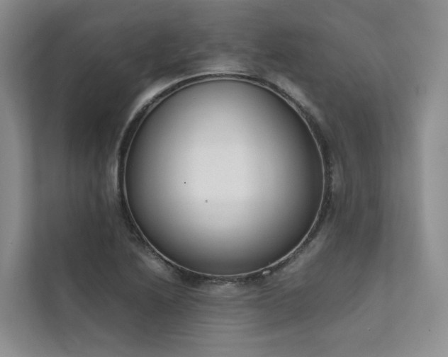 X0000111781222200907231116