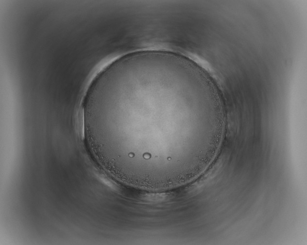 X0000111781223200907231116