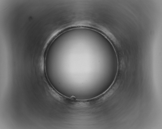X0000111781224200907231116