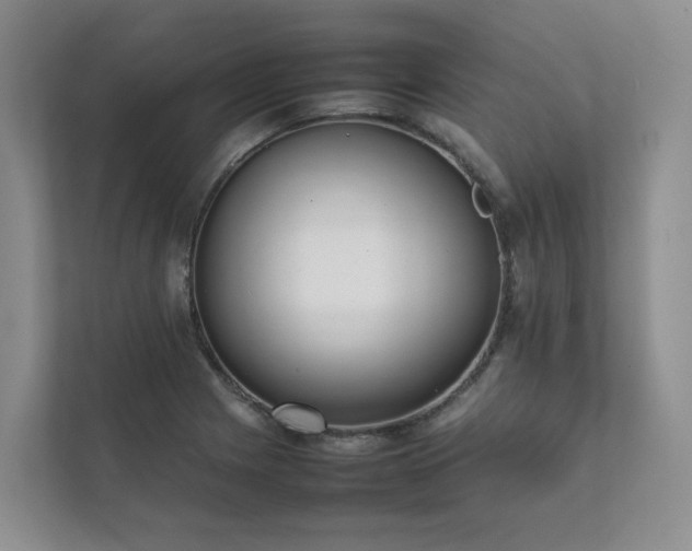 X0000111781225200907231116