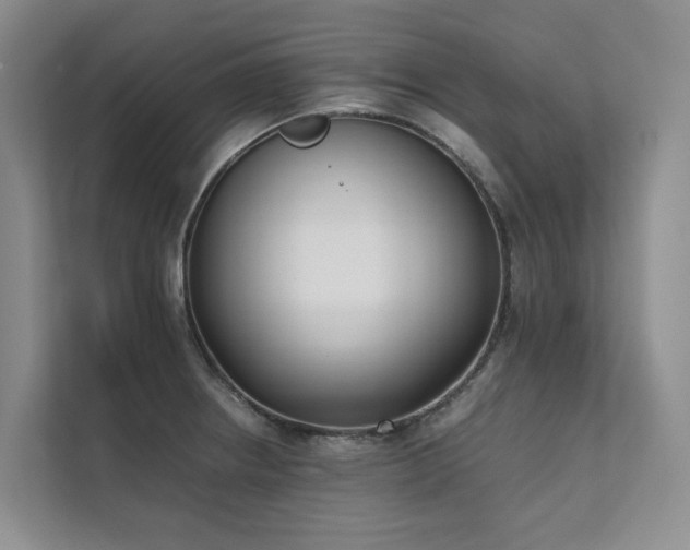 X0000111781234200907231116