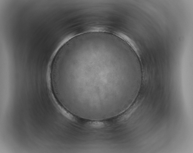 X0000111781235200907231116