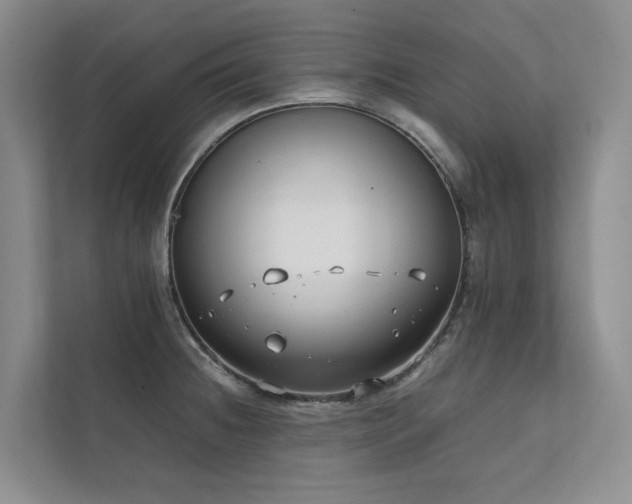 X0000111781236200907231116