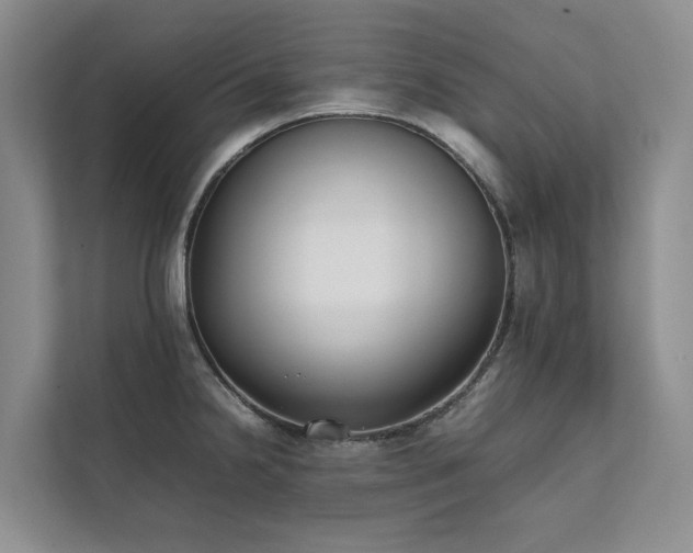 X0000111781238200907231116