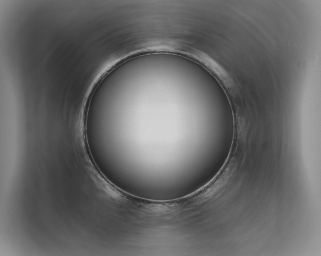X0000111781240200907231116