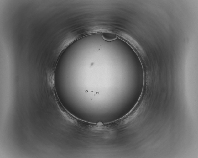 X0000111781241200907231116