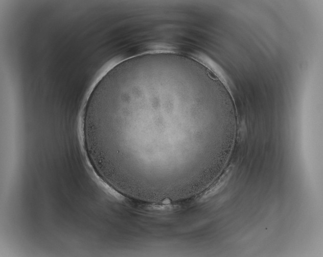 X0000111781243200907231116