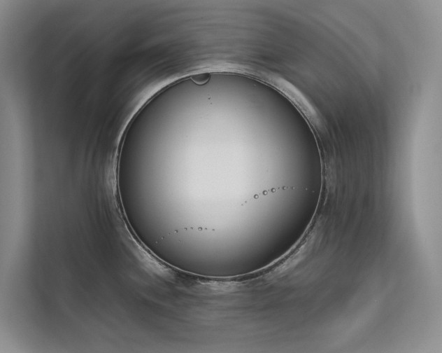 X0000111781244200907231116
